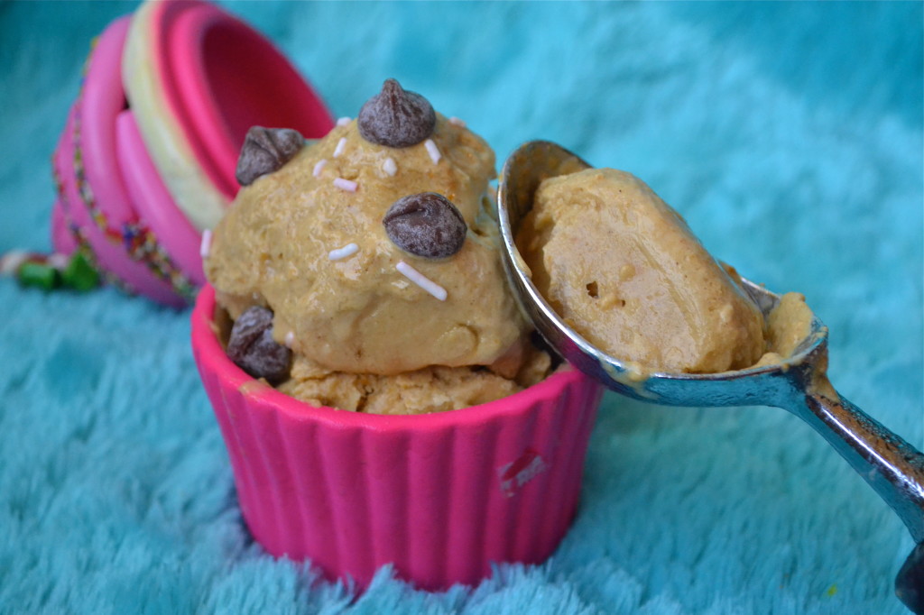 Gingerbread Frozen Yogurt