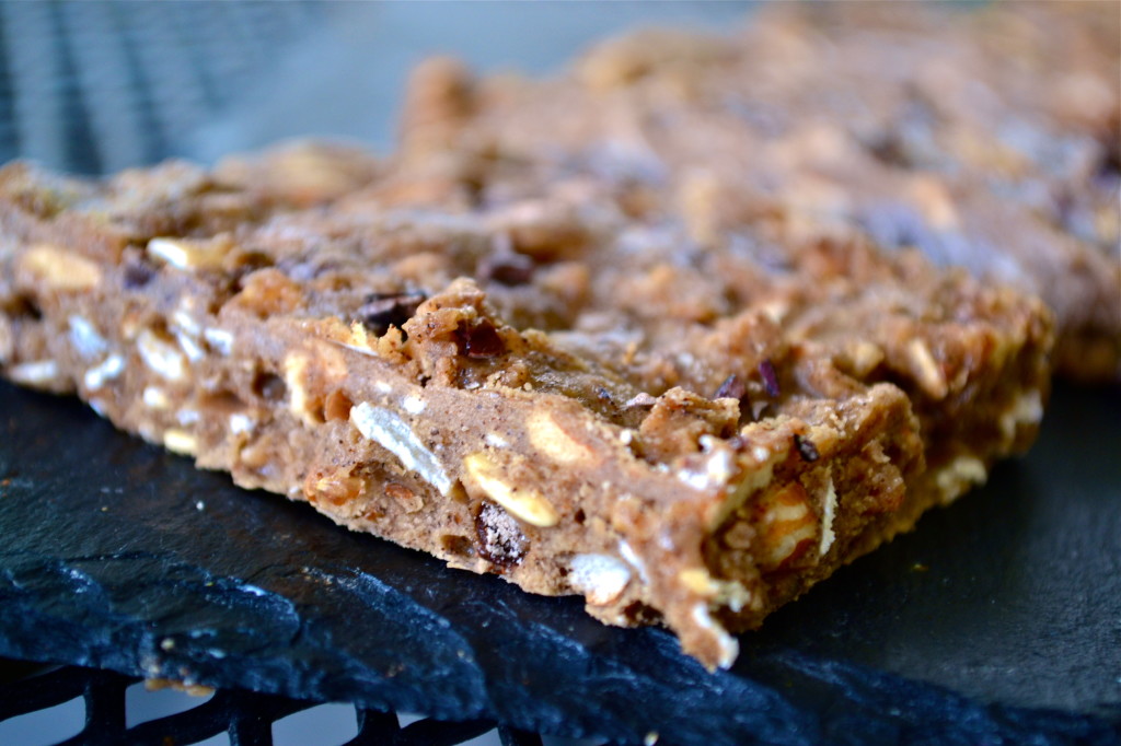 chocolate protein bar recipe