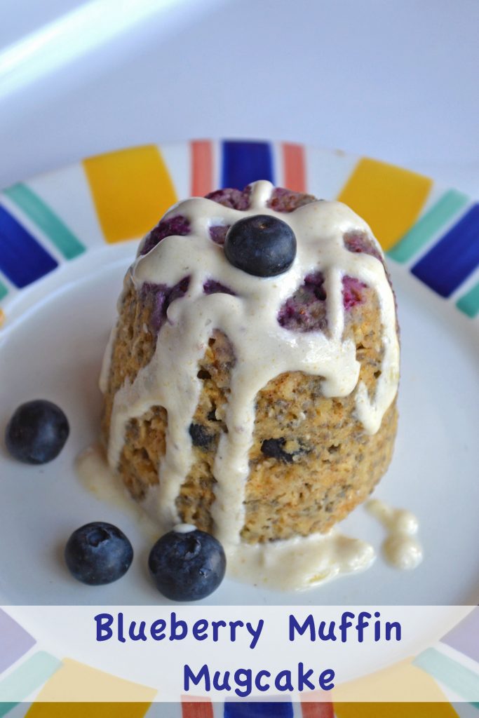 healthy blueberry muffin